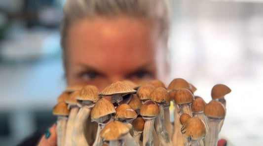 Woman Gifting Magic Mushrooms